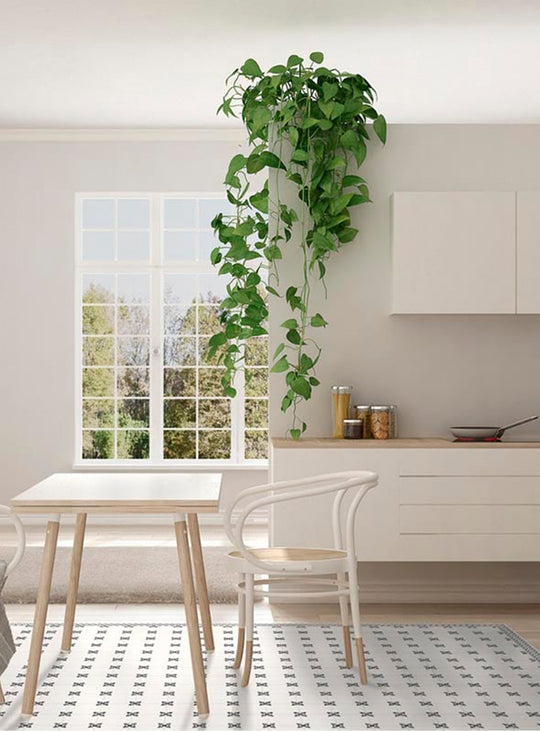 Tapis en vinyle Adama Alma Belita, faciles à nettoyer et adaptés aux foyers actifs.