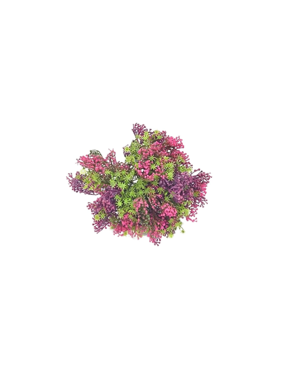 Le petit bouquet de baies apporte une touche décorative vive et apaisante. pourpre