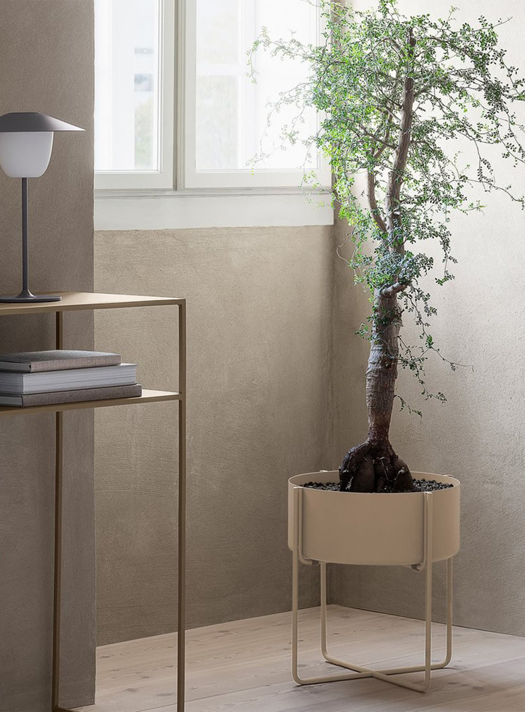 Jardinière Blomus Kena, élégante et durable pour sublimer vos plantes. 2