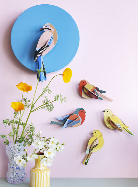 Le Bruant jaune : oiseau durable, coloré et plein de vie par Studio Roof.