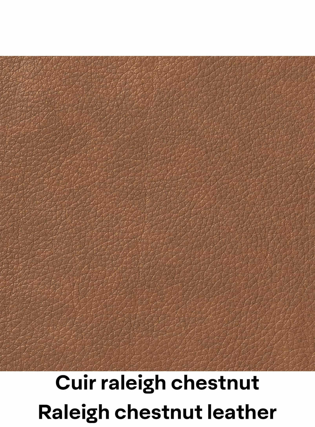 Cuir Raleigh Chestnut