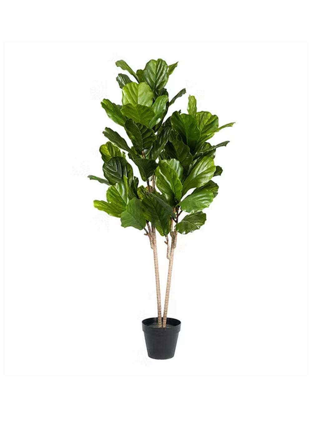 La plante artificielle Figuier apporte une touche naturelle chic à votre intérieur.