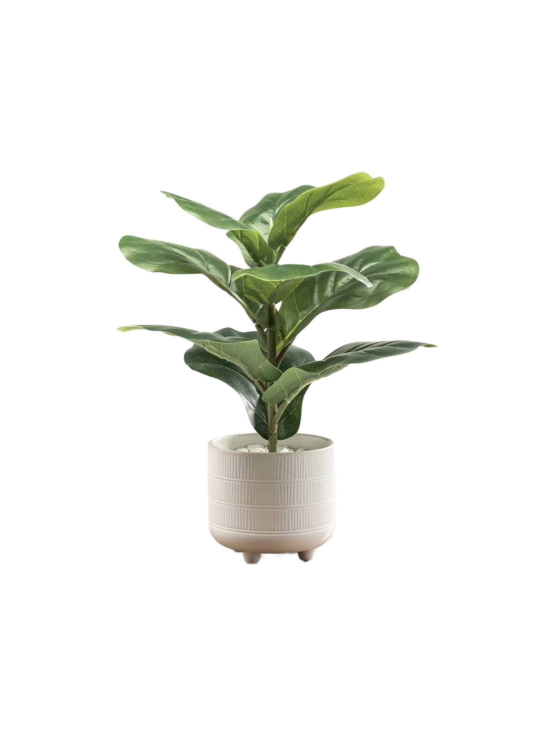 Plante artificielle Petit figuier moderne, idéale pour une entrée ou un salon lumineux.