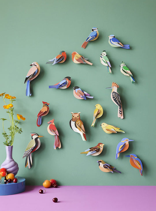 Déco murale écologique : les oiseaux de la forêt par Studio Roof.