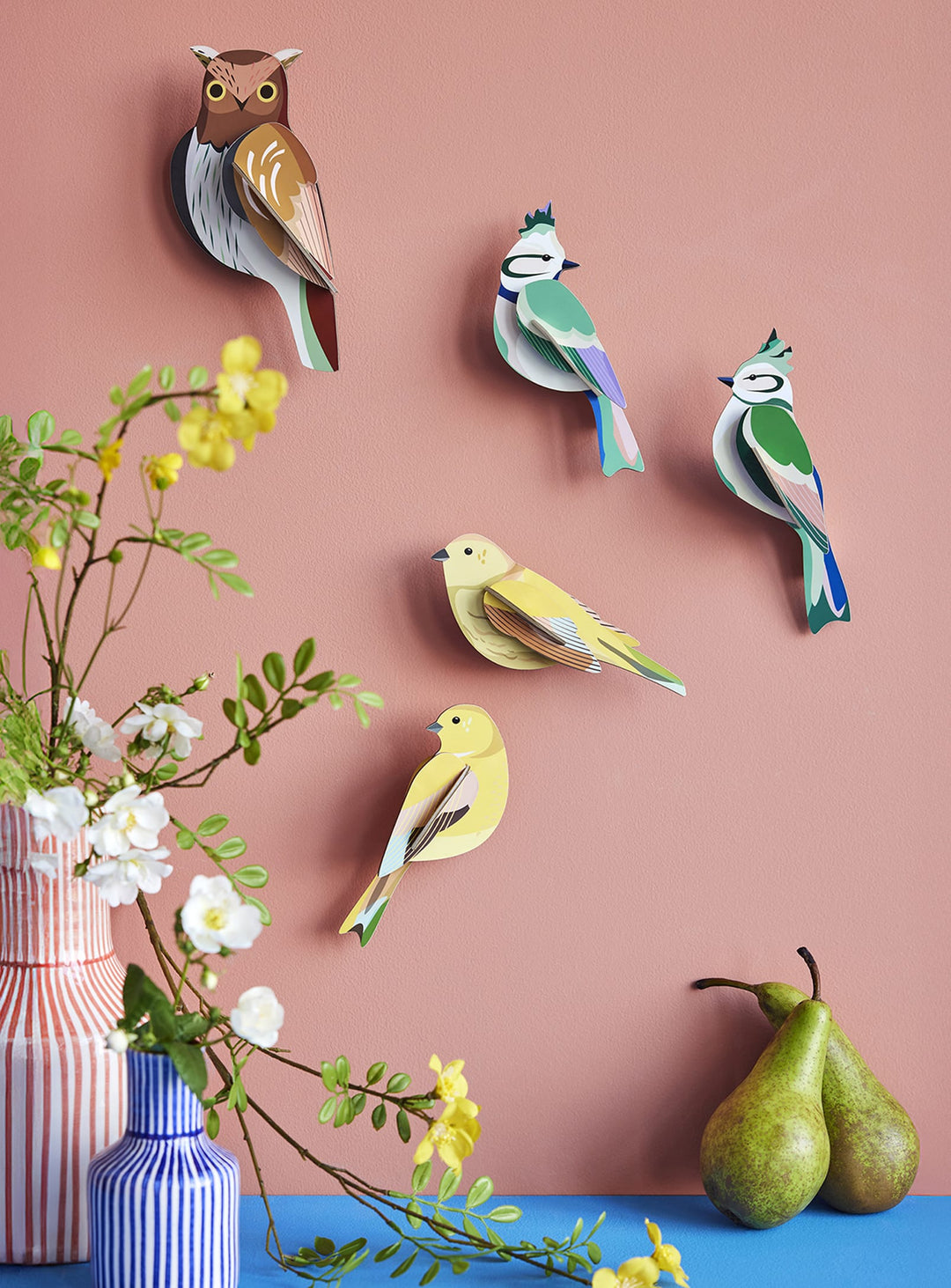 Oiseaux Studio Roof : design durable inspiré de la nature et des forêts.