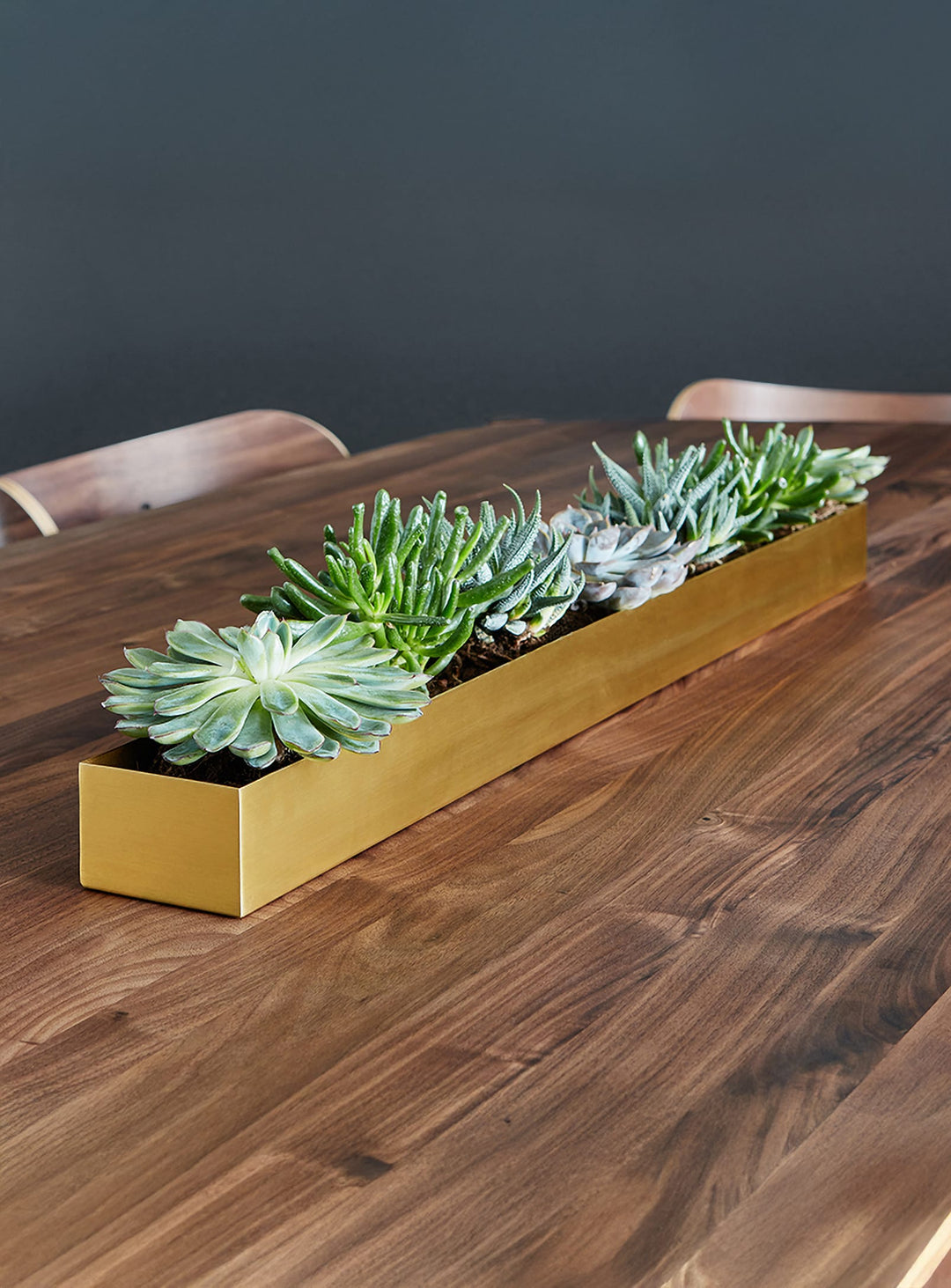 Cache-pot Gus* Modern Vessel, design contemporain et finitions métalliques. Laiton