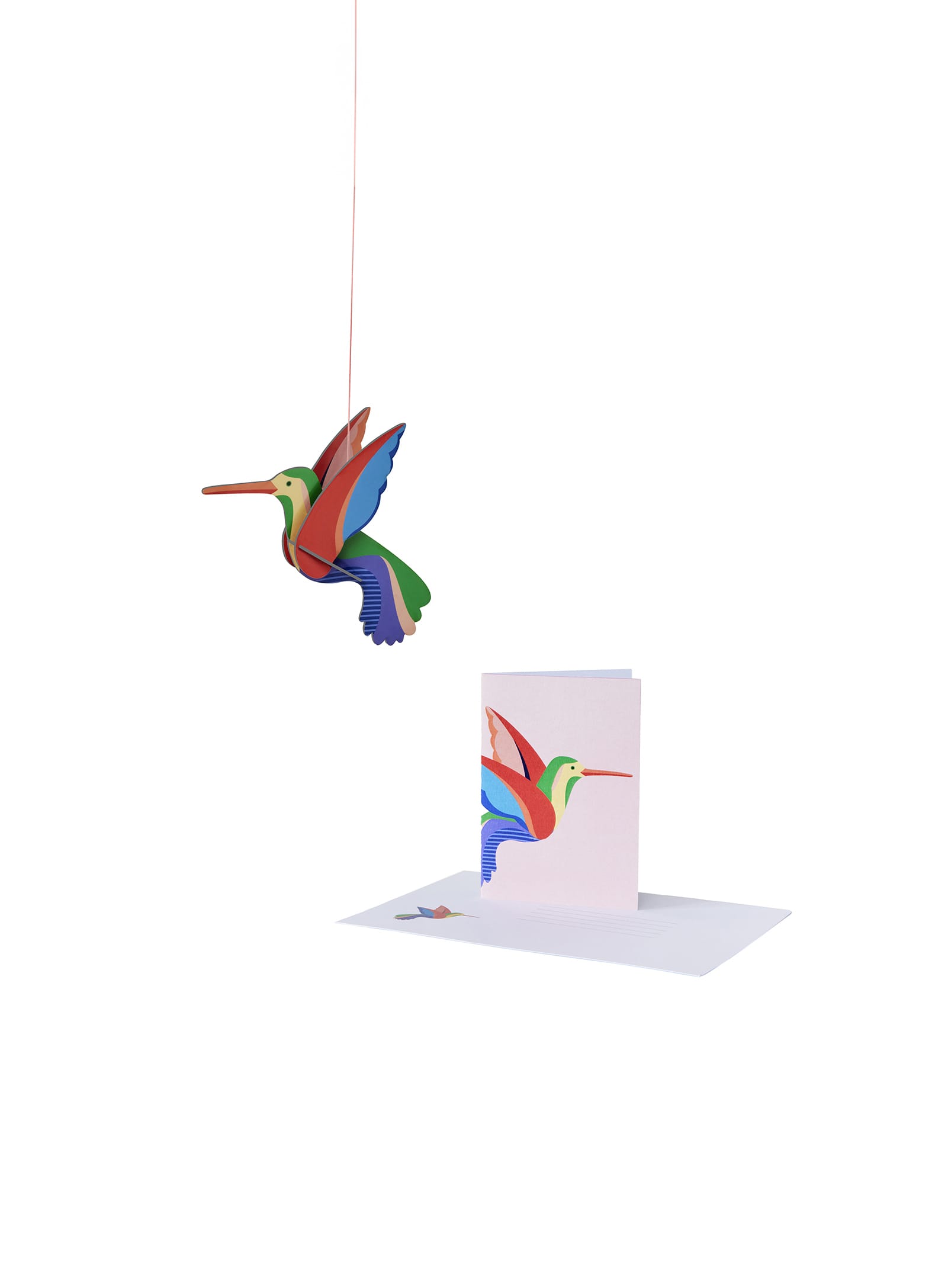 Hummingbird: Cardboard wall decoration - Studio Roof – Nüspace
