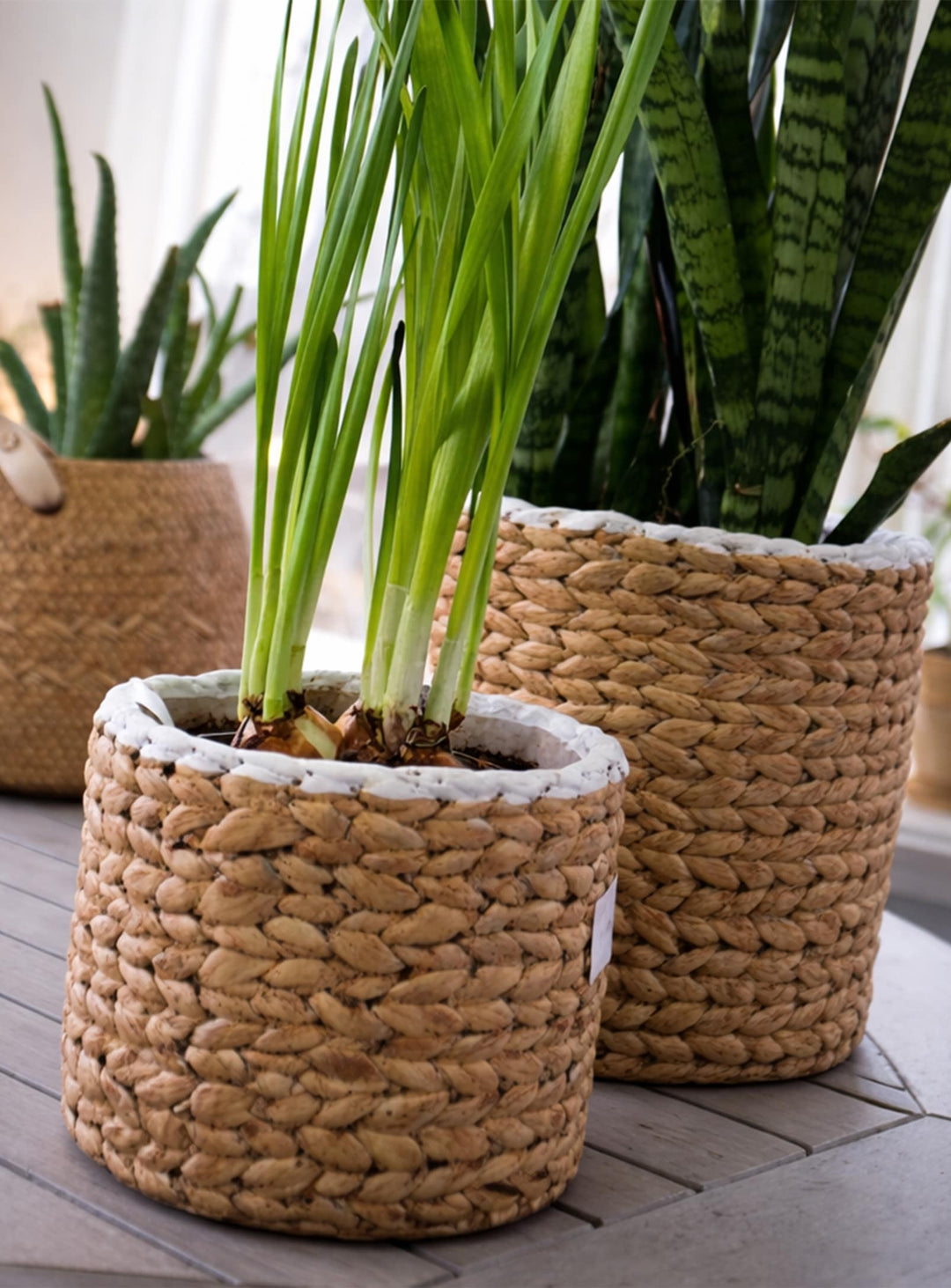 Cache-pots Jam design et durables, idéals pour jardin, terrasse ou balcon.