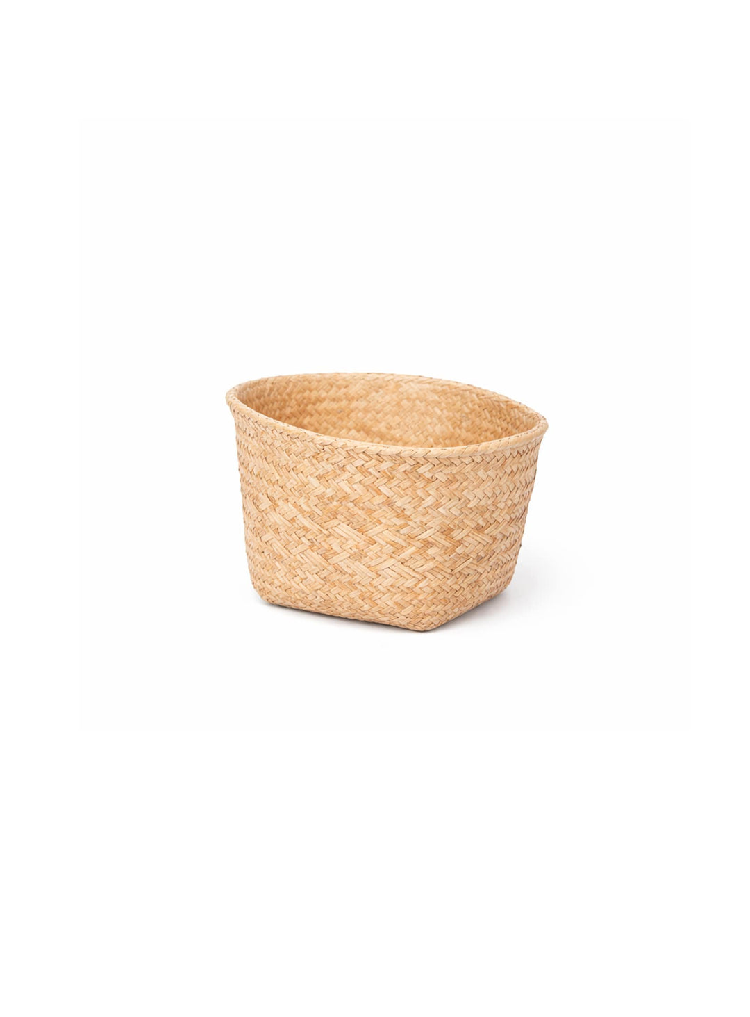 Cache-pots en ciment Lana décoratifs et robustes, parfaits pour jardin ou terrasse. grand