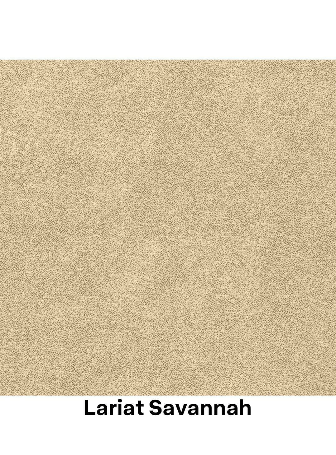 Lariat Savannah