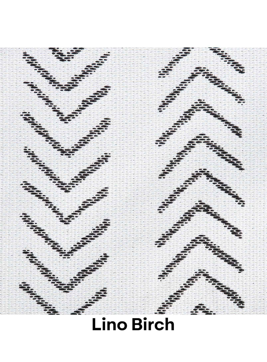 Lino Birch