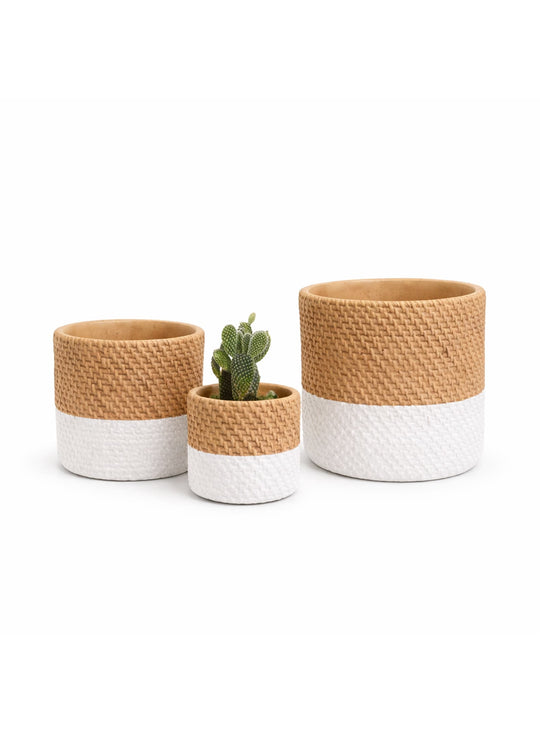 Cache-pots en ciment Maco modernes, idéals pour créer une déco végétale harmonieuse.
