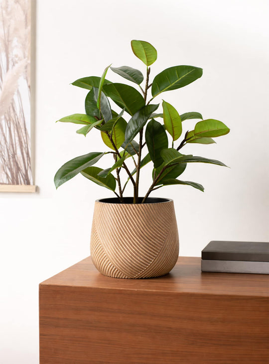 Cache-pot Meridian en résine sculptée, idéal pour sublimer plantes et fleurs avec élégance. brun clair