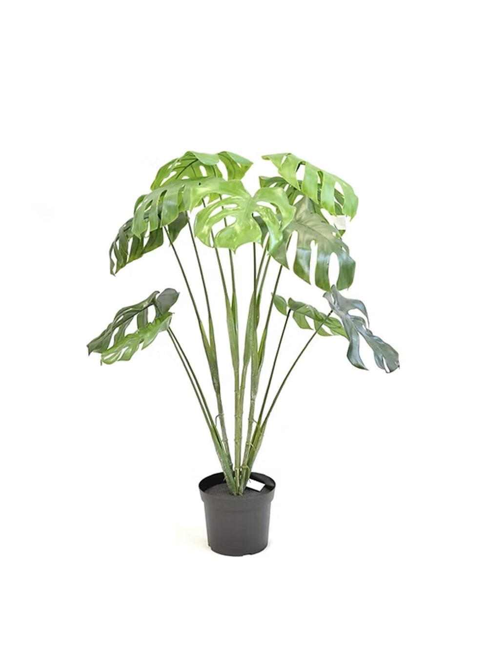 La plante artificielle Monstera crée une ambiance exotique toute l’année.