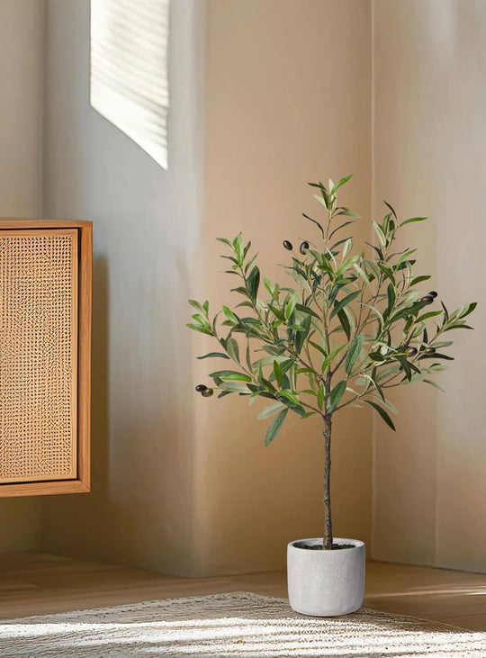 Plante artificielle Olivier avec pot en ciment, style chic et contemporain.