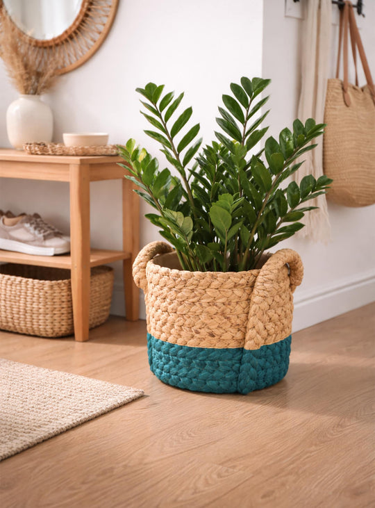 Cache-pot en ciment Paco bicolore, design imposant en blanc ou bleu pour intérieur et extérieur. bleu