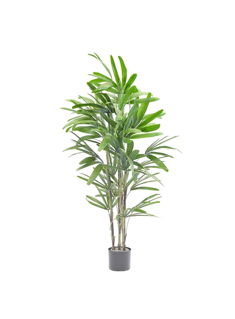 Palmier artificiel Rhapis au réalisme saisissant, idéal pour une déco tropicale.
