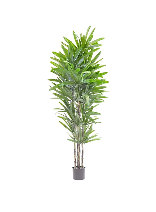 Optez pour le palmier artificiel Rhapis, une plante plus vraie que nature.