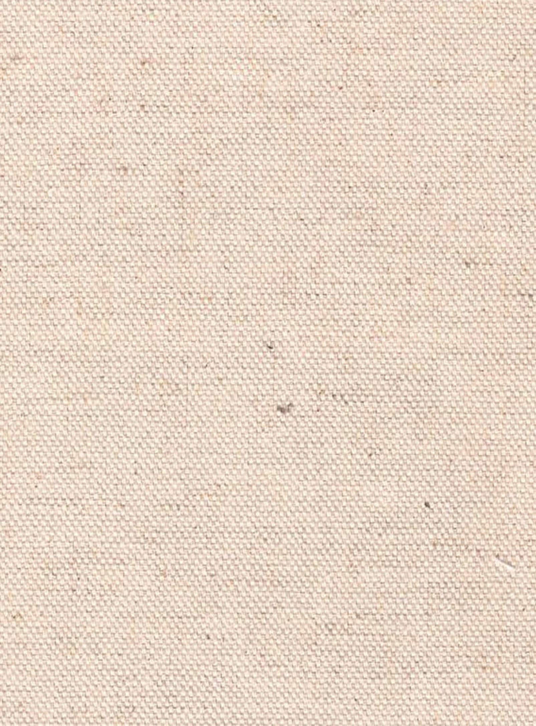 Remix : banc mid-century chic au confort raffiné. Creme.