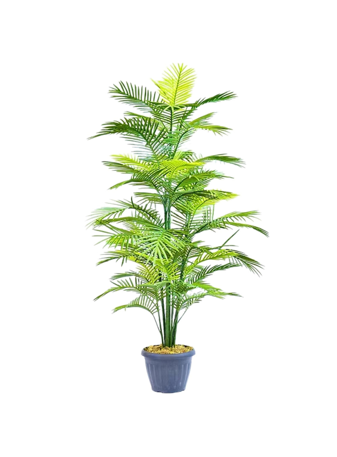 Le palmier artificiel Robellini apporte exotisme et fraîcheur à votre décor.