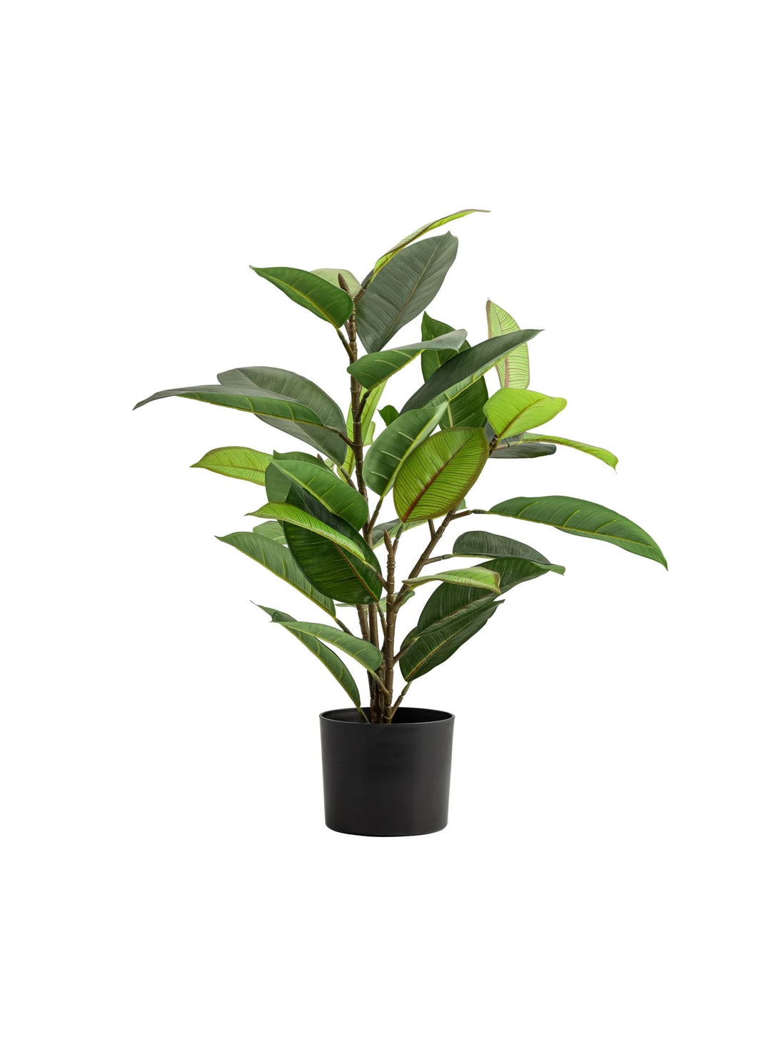 La plante artificielle Hévéa apporte fraîcheur et élégance à votre intérieur.