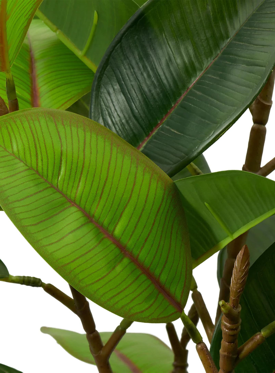 Optez pour la plante artificielle Hévéa, plus vraie que nature et durable.