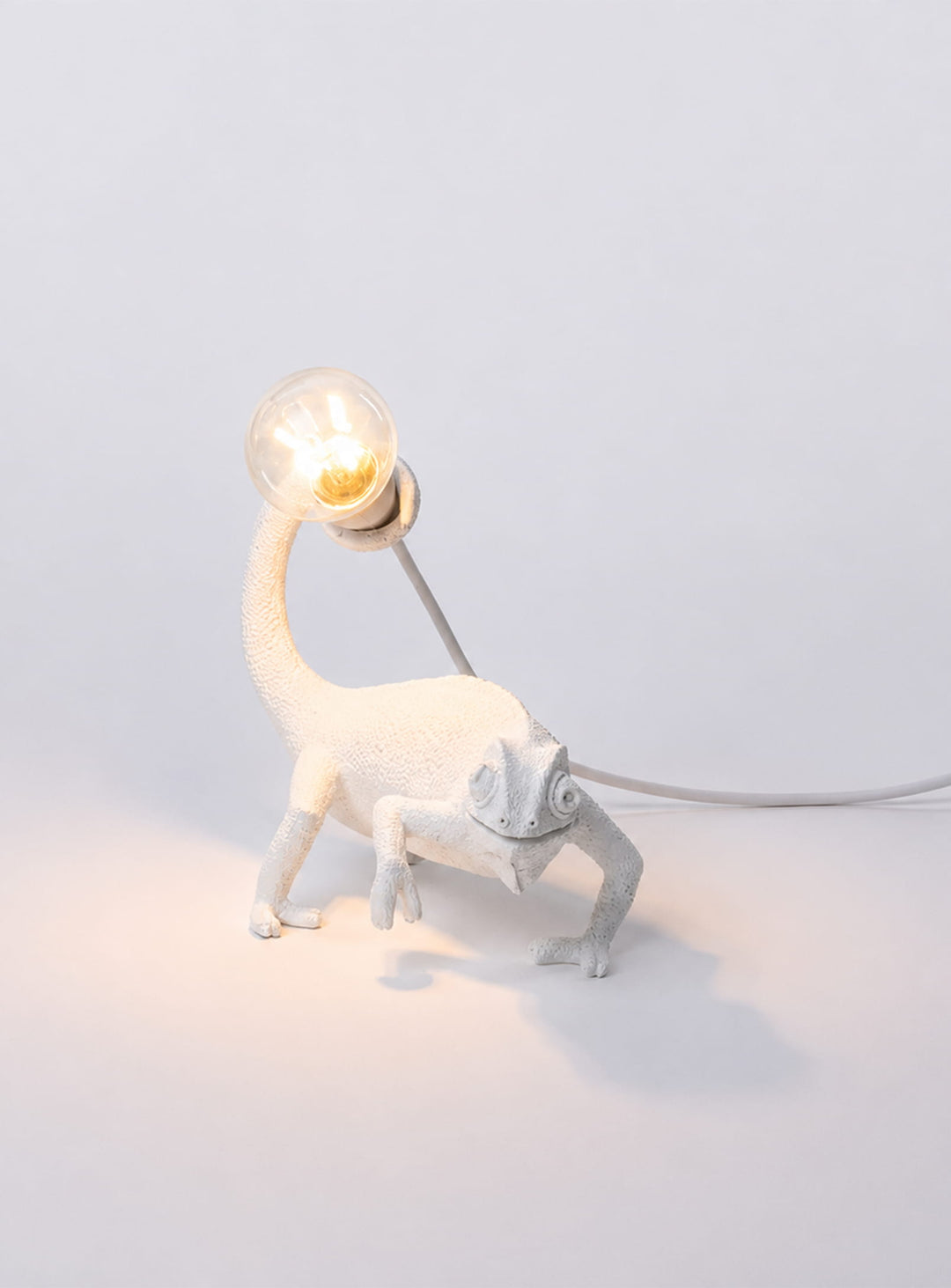 Lampe Caméléon Seletti : un luminaire original qui transforme instantanément l’espace.
