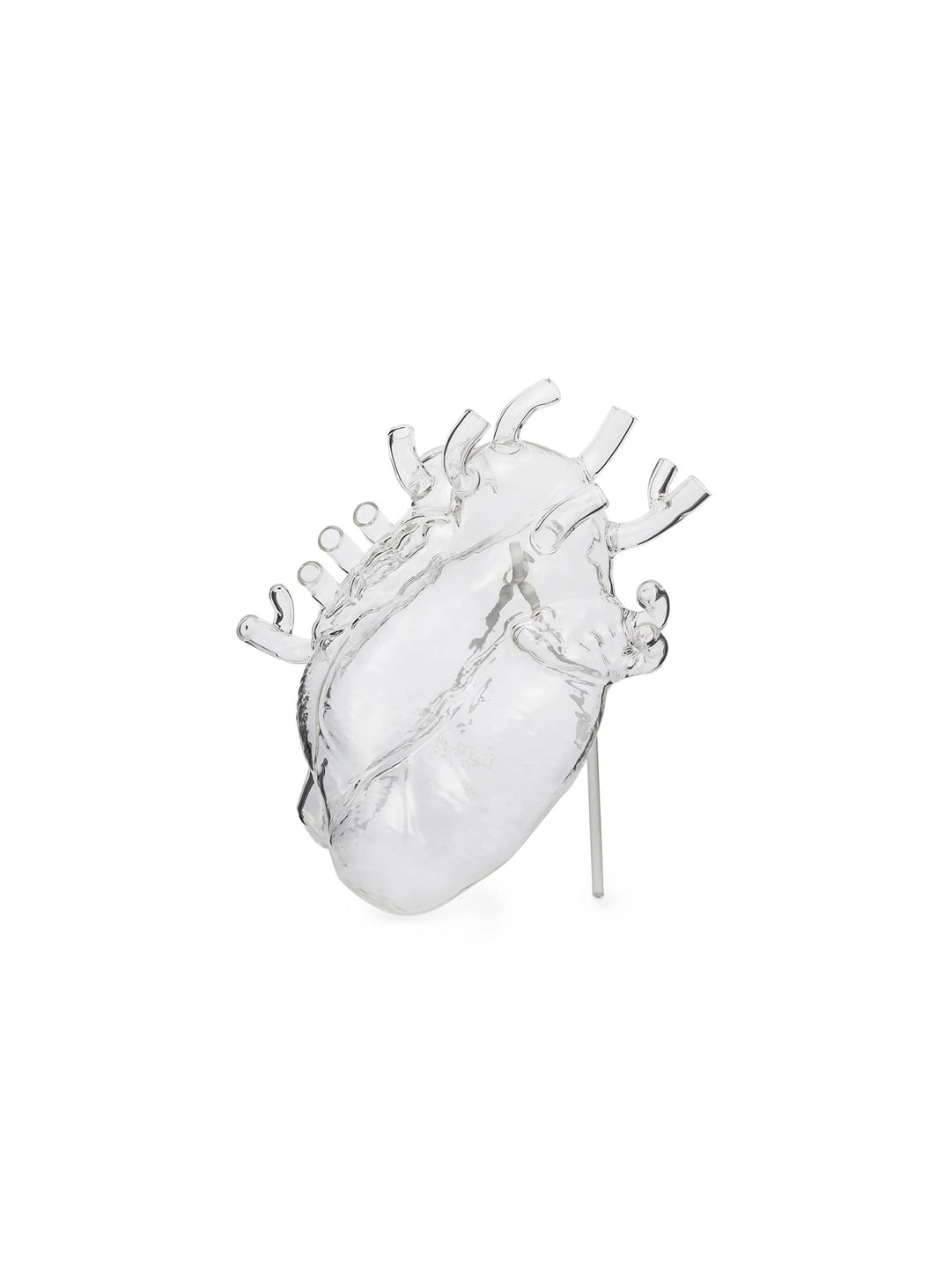 Vase Love in Bloom Seletti : un vase contemporain aux détails anatomiques réalistes. transparent