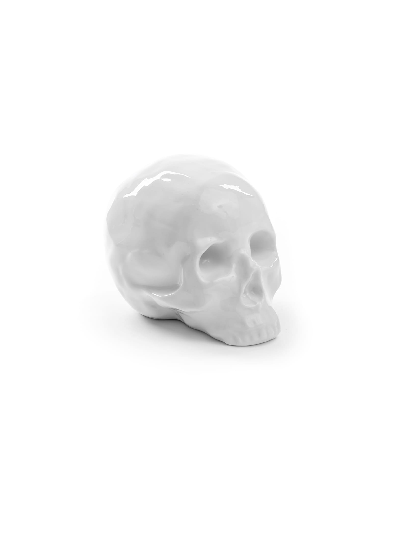 Skull Memorabilia: Decoration - Seletti – Nüspace