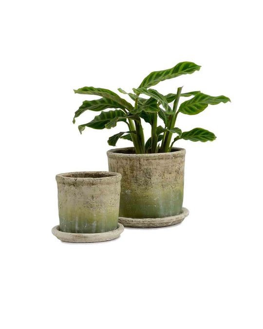 Cache-pot Siya avec soucoupe assortie, parfait pour plantes d’extérieur. petit, grand
