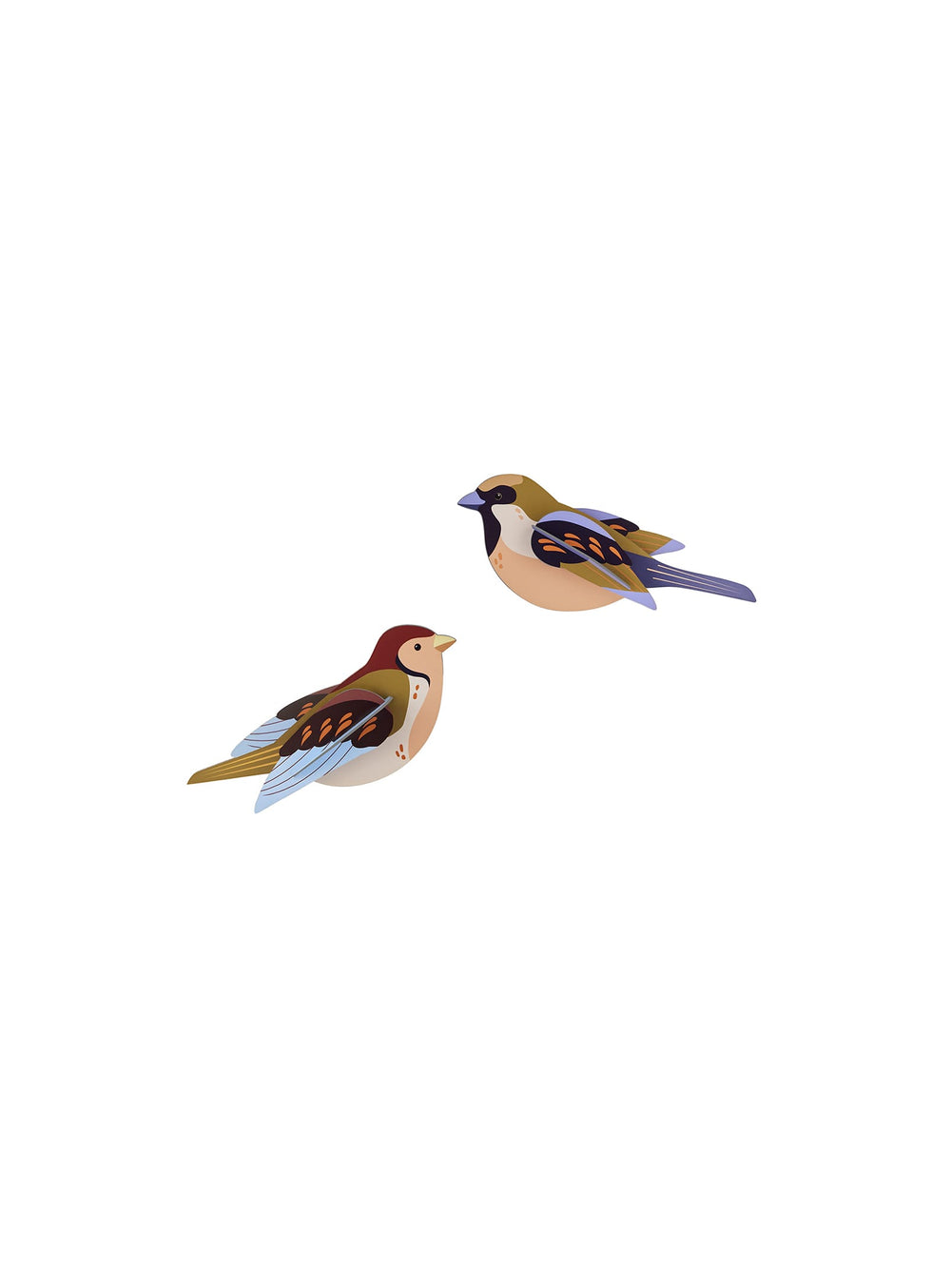 Oiseaux muraux 3D Moineaux Studio Roof en carton recyclé, pour une décoration naturelle et élégante.