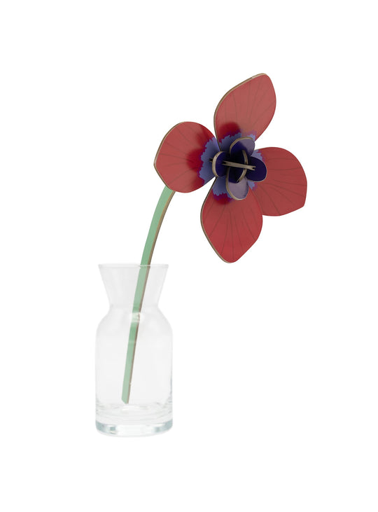 Décoration florale Bouquet Durable Studio Roof, une fleur 3D en carton recyclé à assembler soi-même. anémone rouge