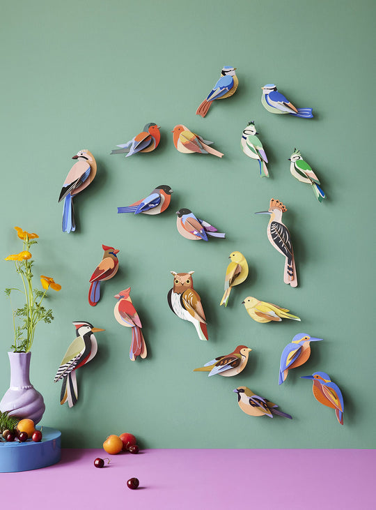 Studio Roof : une chouette colorée qui allie art, nature et imagination.