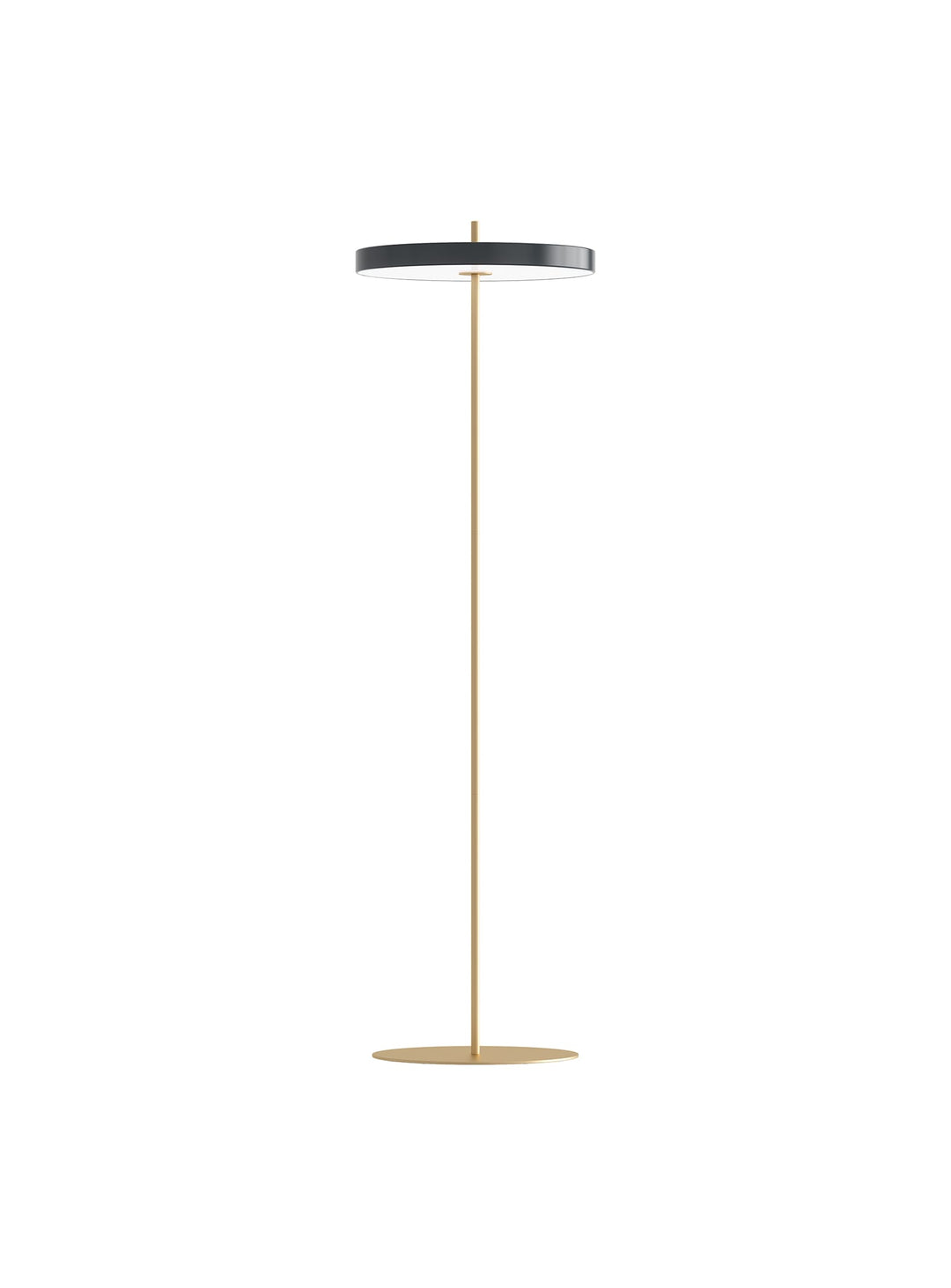 Lampe sur pied Asteria Umage : lampadaire élégant avec LED performante. anthracite