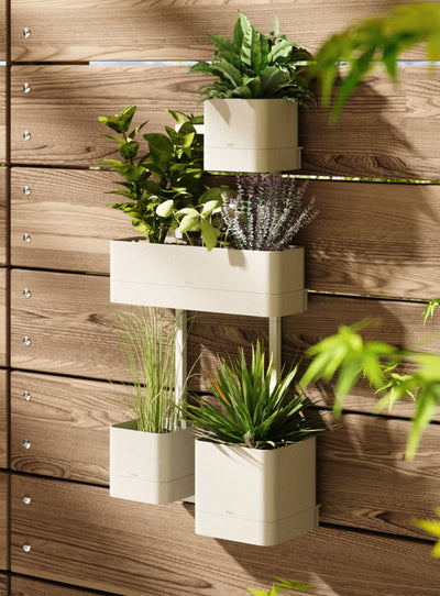 Jardinière murale Cubiko d’Umbra, un cadre en métal et des pots ajustables pour un mur végétal unique et raffiné. Beige.