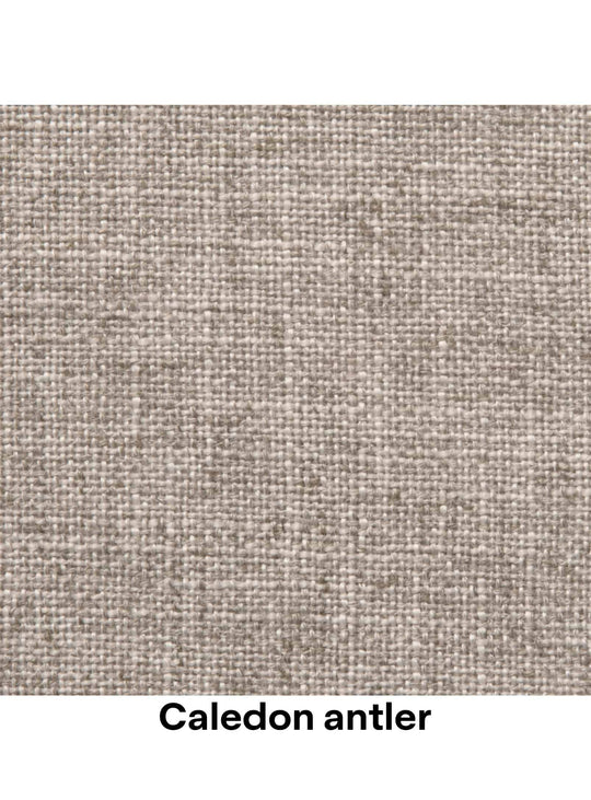 Caledon Antler