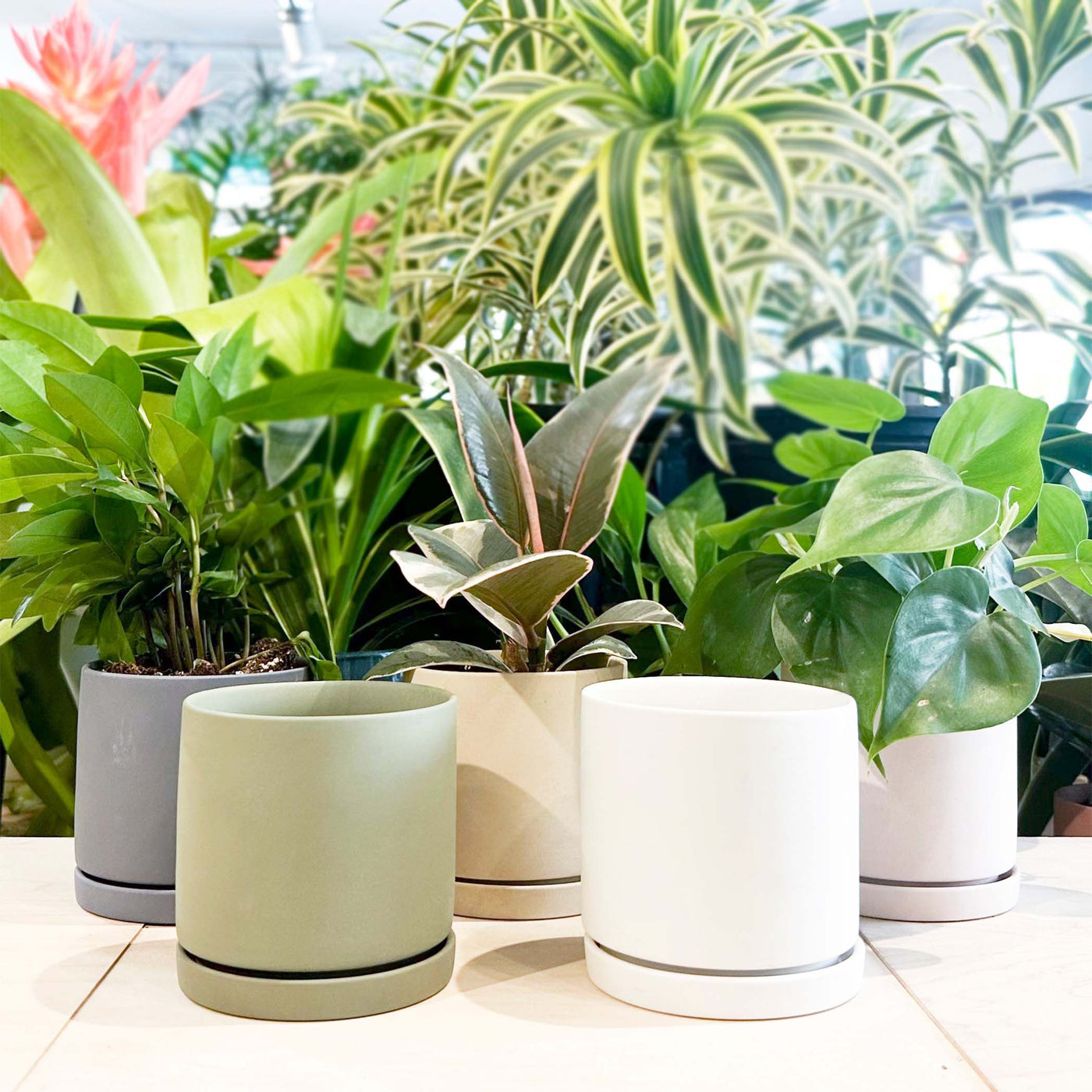 Transformez votre espace avec l'esthétique minimaliste des cache-pots Dojo, fabriqués en porcelaine de haute qualité avec un fini mat pour une durabilité exceptionnelle.