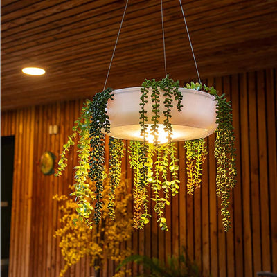 L'éclairage LED intégré à la jardinière / lampe Elba de Newgarden offre une lumière douce et agréable qui peut être utilisée pour mettre en valeur les plantes ou pour éclairer une pièce.