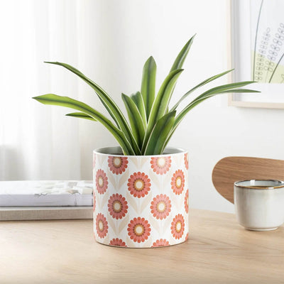 Cache-pot Gazebo Daisy : Élégance florale pour vos plantes préférées. Un accessoire polyvalent en céramique pour une décoration intérieure ou extérieure pleine de style.