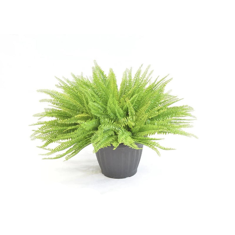 Grande plante artificielle mousse verte fausse plante décoration pour –  Petmonde