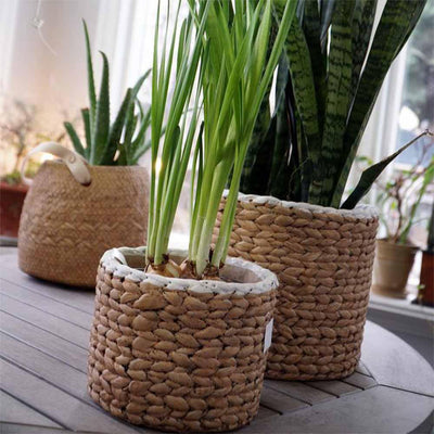 Cache-pots Jam : Style tressé et bordure blanche pour sublimer vos plantes. En ciment résistant, adaptés à l'intérieur et à l'extérieur. Une esthétique attrayante.